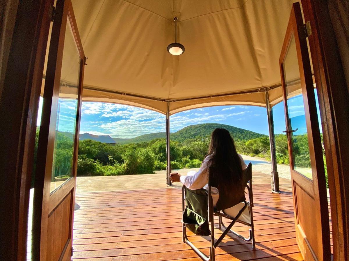 Parkview Safari Lodge Colchester Εξωτερικό φωτογραφία
