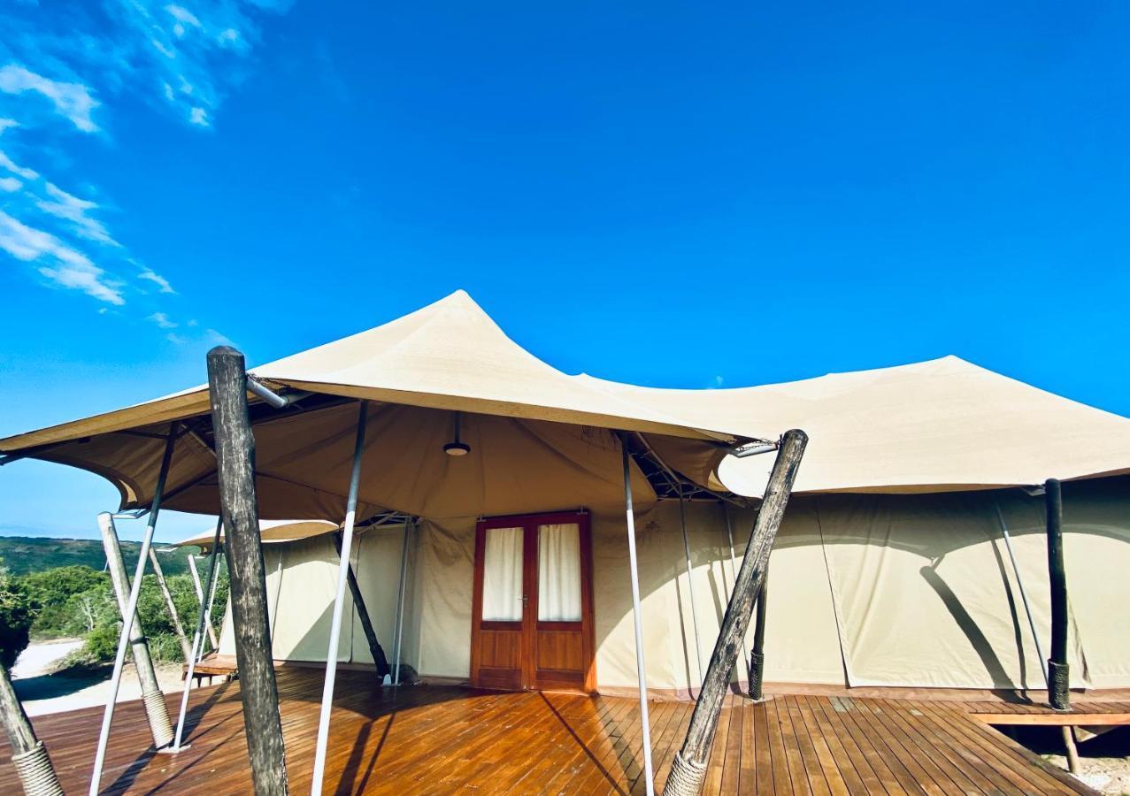 Parkview Safari Lodge Colchester Εξωτερικό φωτογραφία