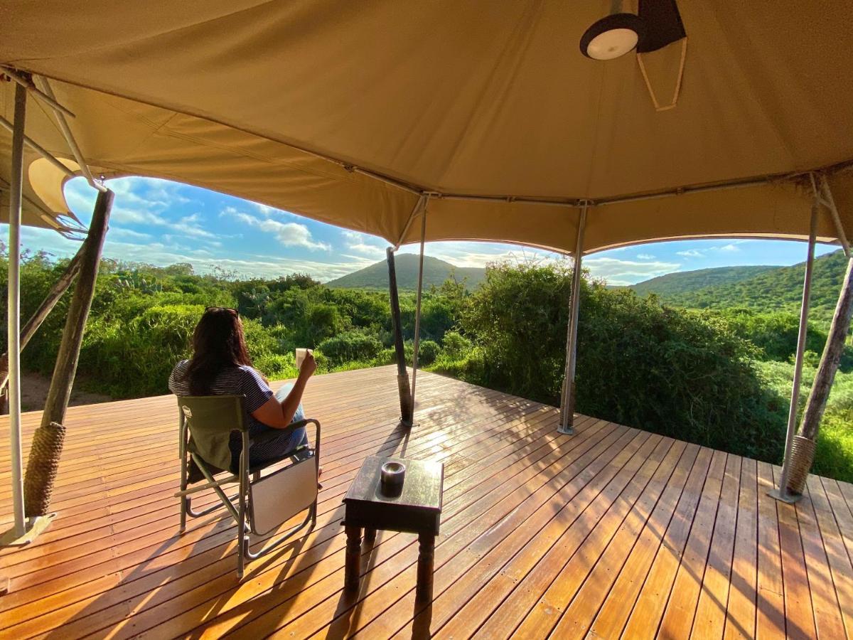 Parkview Safari Lodge Colchester Εξωτερικό φωτογραφία