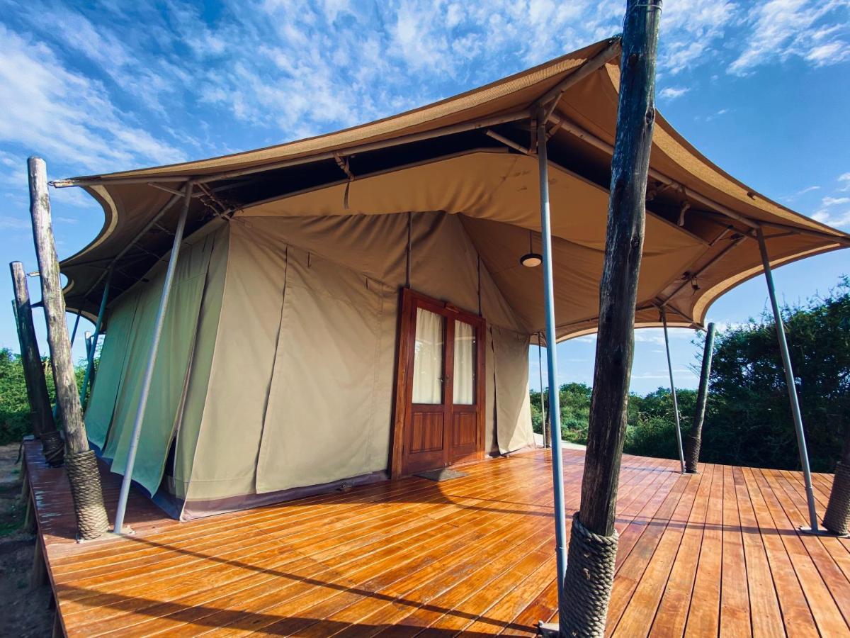 Parkview Safari Lodge Colchester Εξωτερικό φωτογραφία