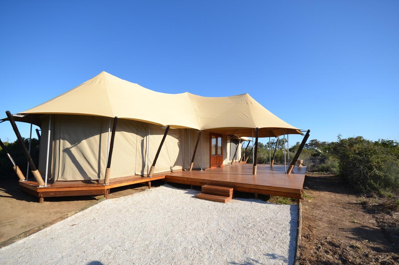 Parkview Safari Lodge Colchester Εξωτερικό φωτογραφία