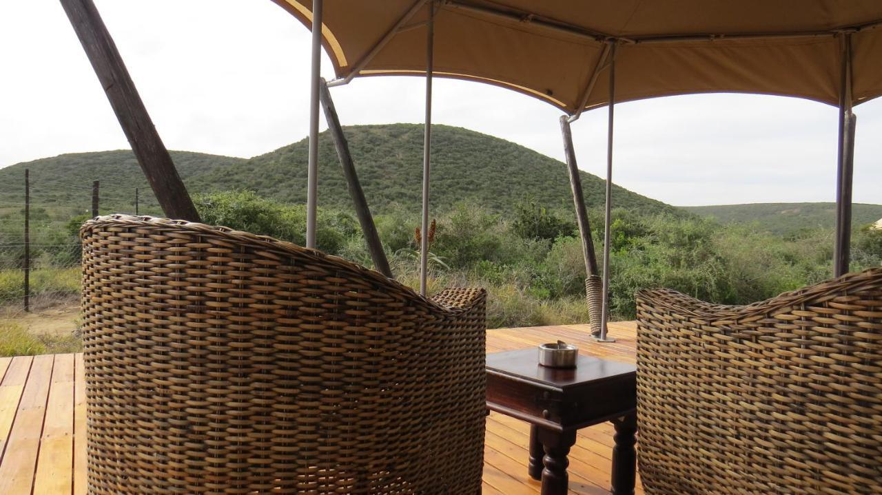 Parkview Safari Lodge Colchester Εξωτερικό φωτογραφία