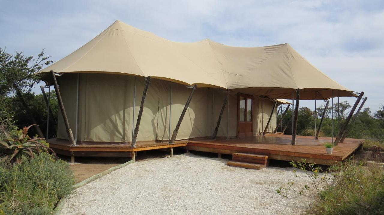Parkview Safari Lodge Colchester Εξωτερικό φωτογραφία
