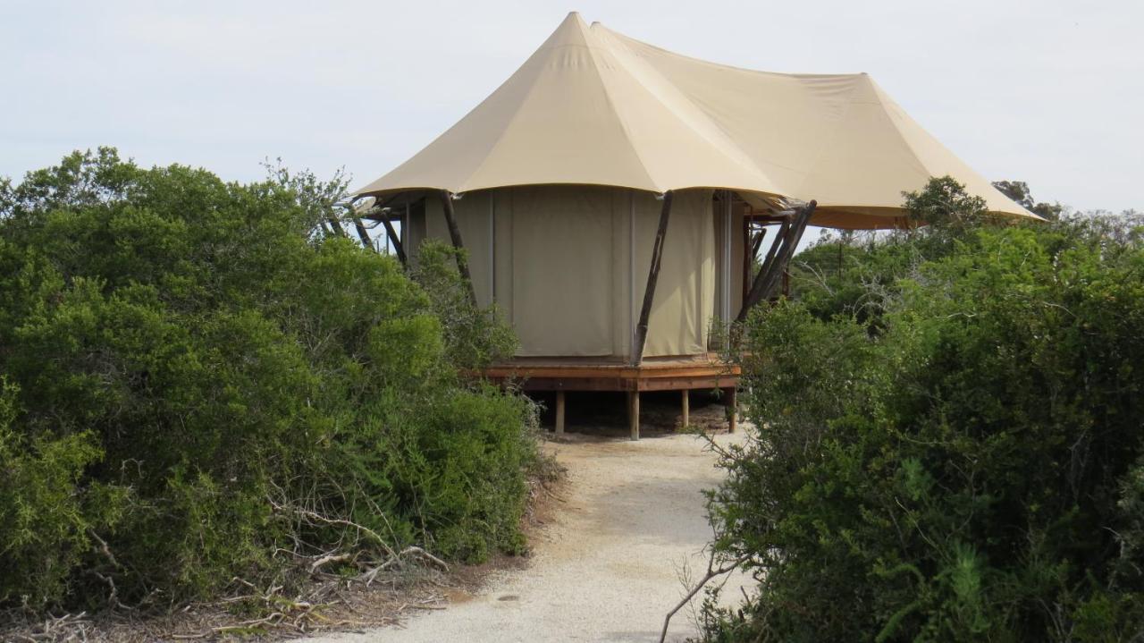 Parkview Safari Lodge Colchester Εξωτερικό φωτογραφία