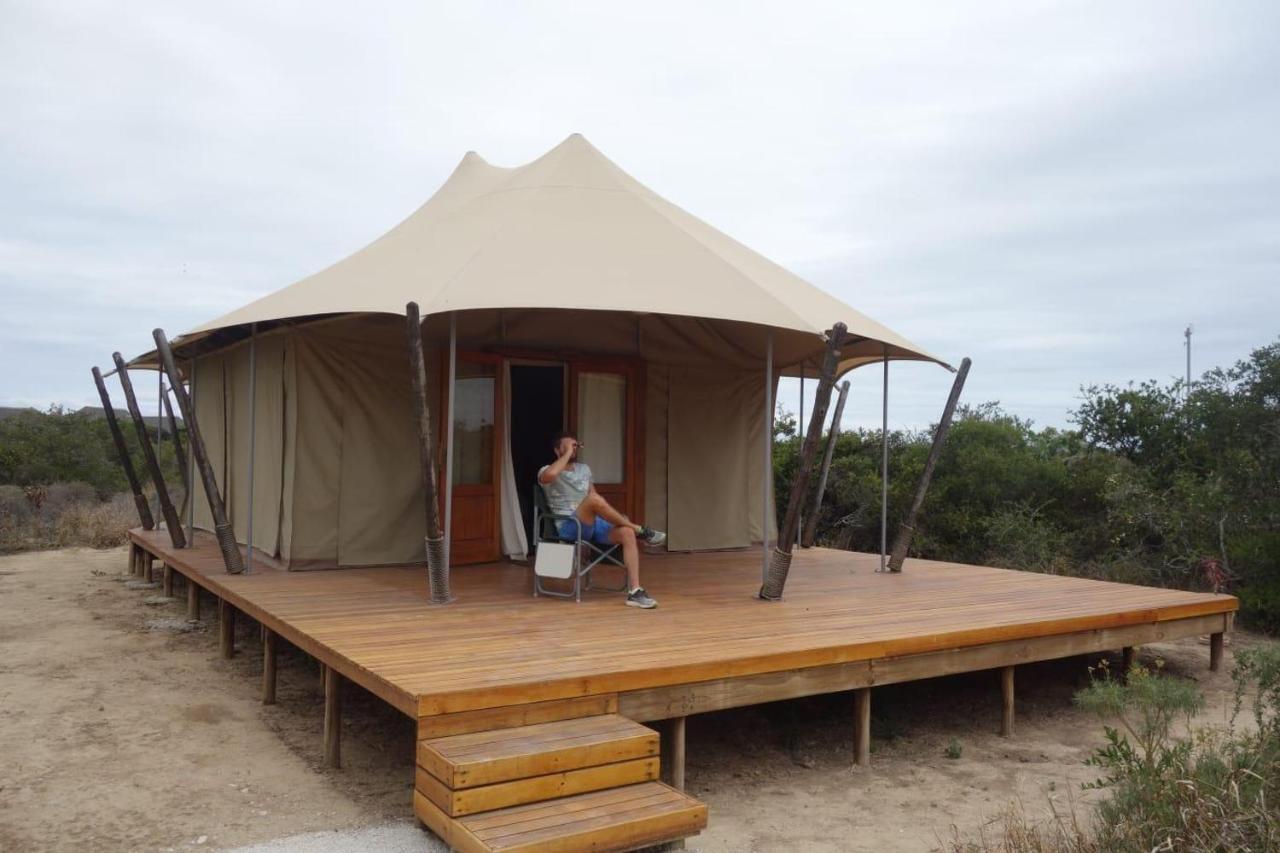 Parkview Safari Lodge Colchester Εξωτερικό φωτογραφία